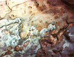 particolare di una roccia